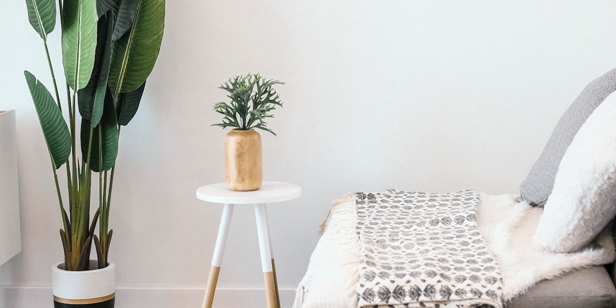 Wallpaper Removal Services